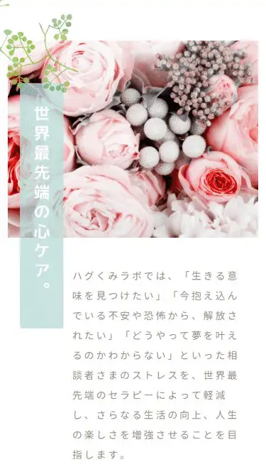 ハグくみセラピー