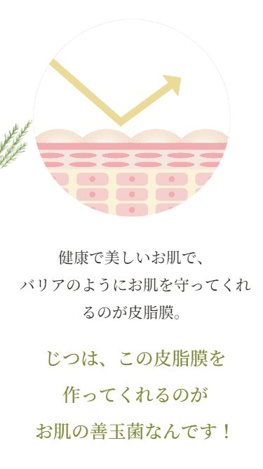 ピュアノーブル