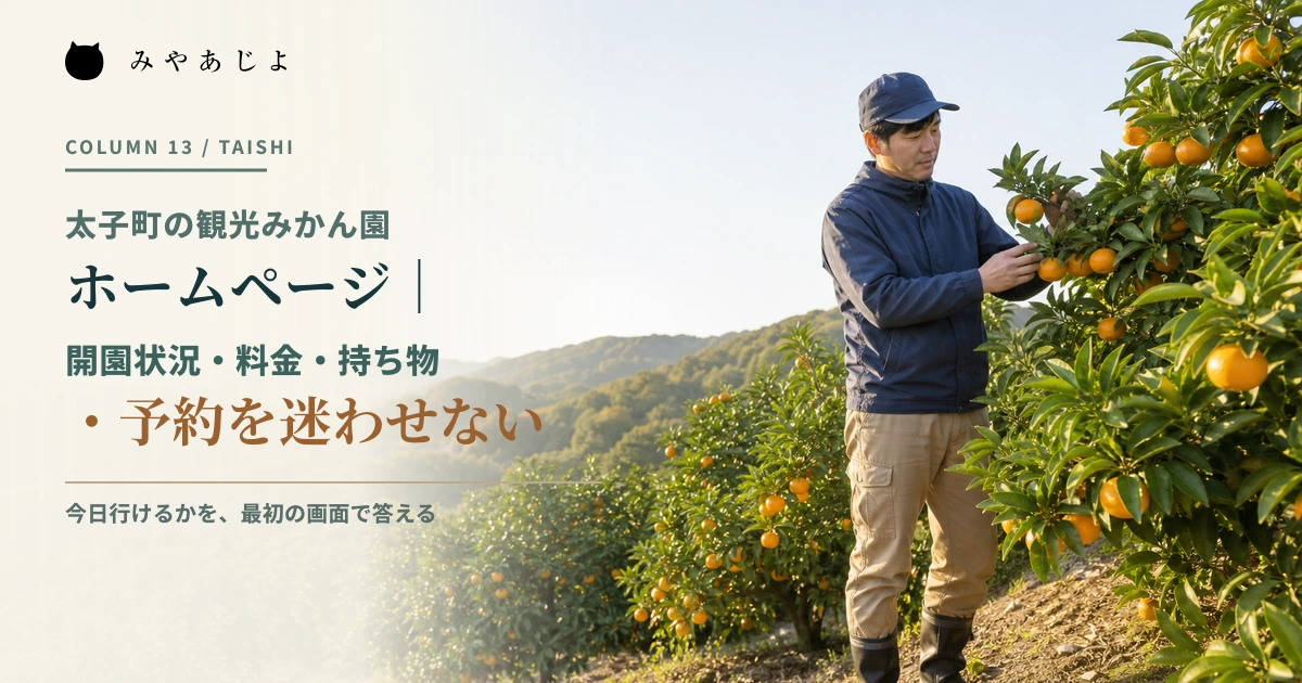太子町の丘陵にあるみかん園でスタッフが開園準備をするイメージ