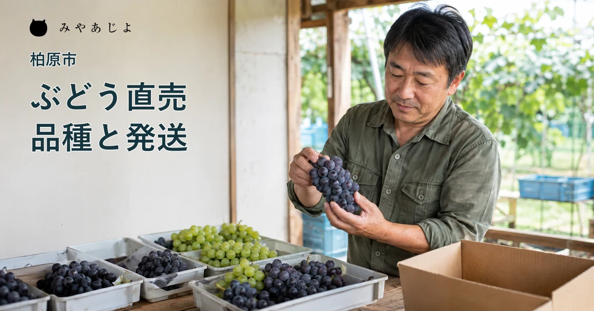 架空の柏原のぶどう農園を想定した作業場で房を確認する生産者の編集イメージ