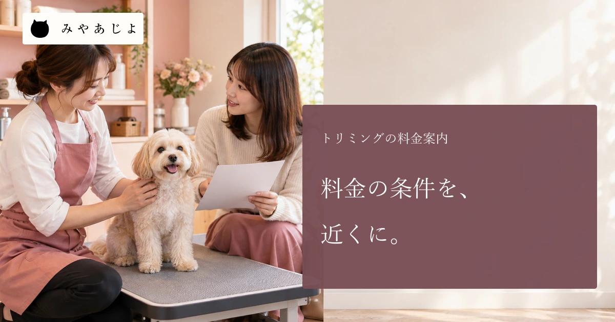 トリミングサロンで担当者と飼い主が小型犬のコースを相談する場面