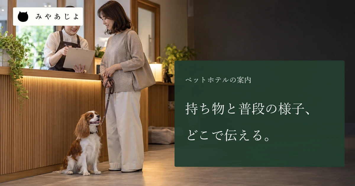 ペットホテルの受付で担当者と飼い主が無記名の案内を確認する場面
