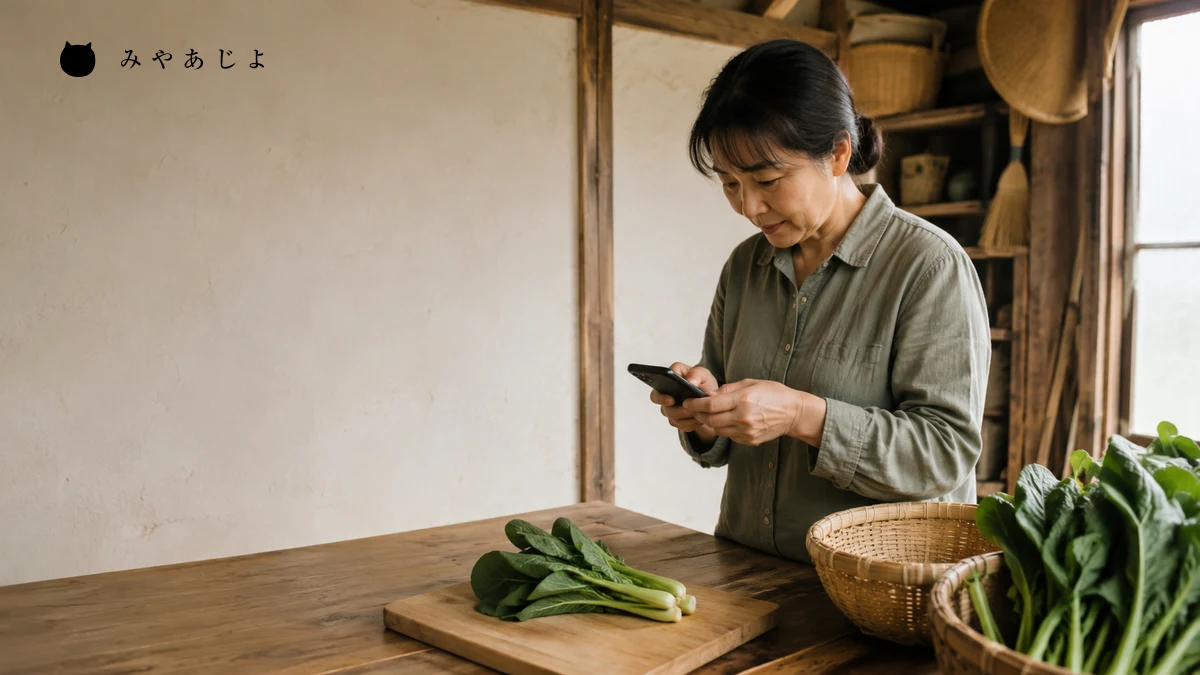 架空の野菜農家が小松菜のそばでスマートフォンを使い掲載用の写真情報を確認する編集イメージ