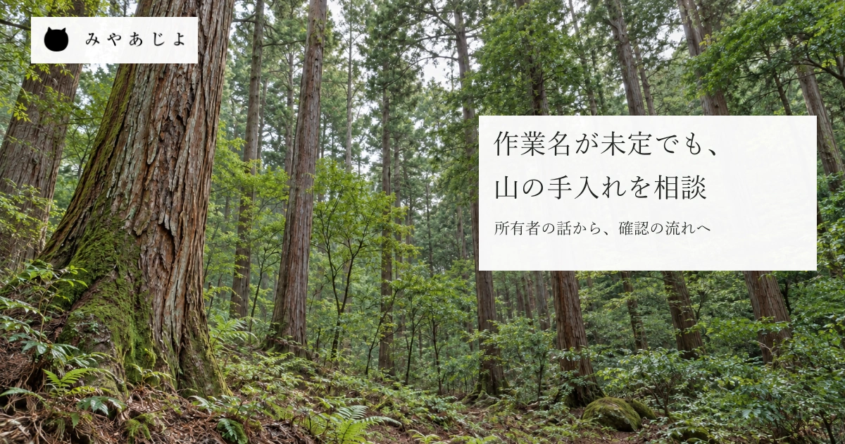 一般的な森の樹木と地面を柔らかな自然光と実物の樹皮・植生で見せ、作業名が未定でも所有者の困りごとから手入れの相談を考える写真イメージ