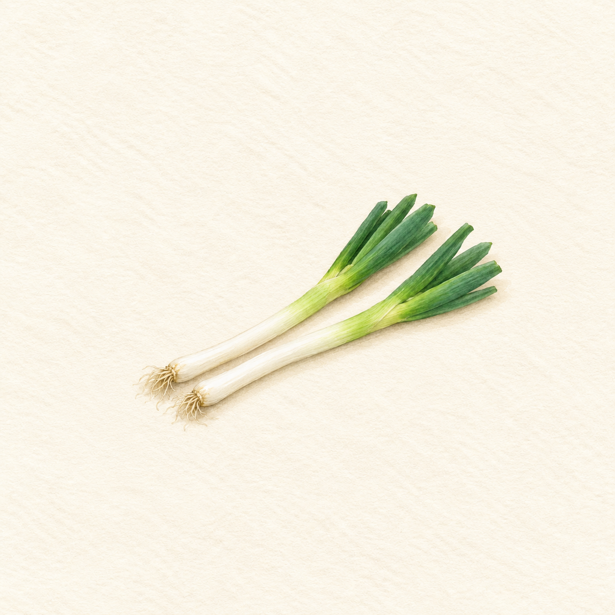 根の付いた長ねぎ2本を描いた水彩風の生成イラスト