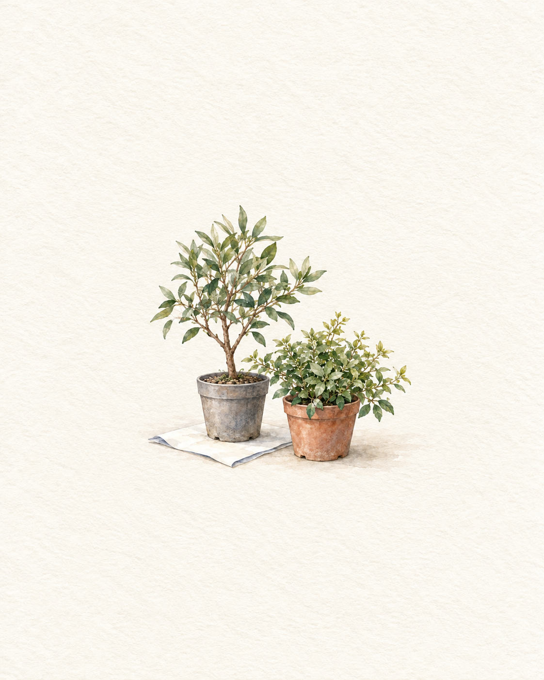 2鉢の植木と無地の用紙を並べた水彩風の生成イラスト